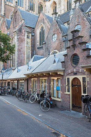 Haarlem (NL)