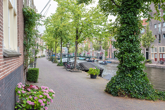 Blumenstadt Leiden