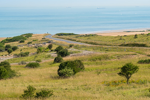 Natural Park of the Caps and Opal Marsh
