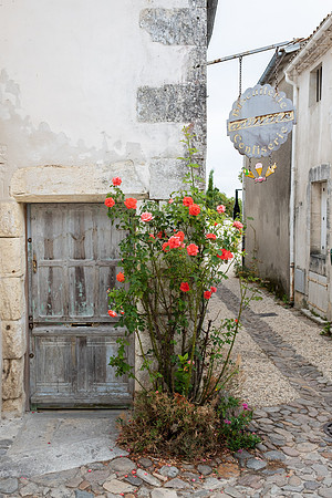 Confiserie, Le Talmont