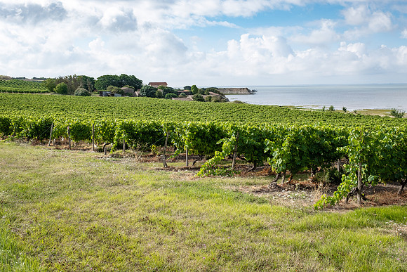 Blaye, Gironde